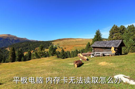 內存卡讀卡驅動下載,老式內存卡怎么讀卡